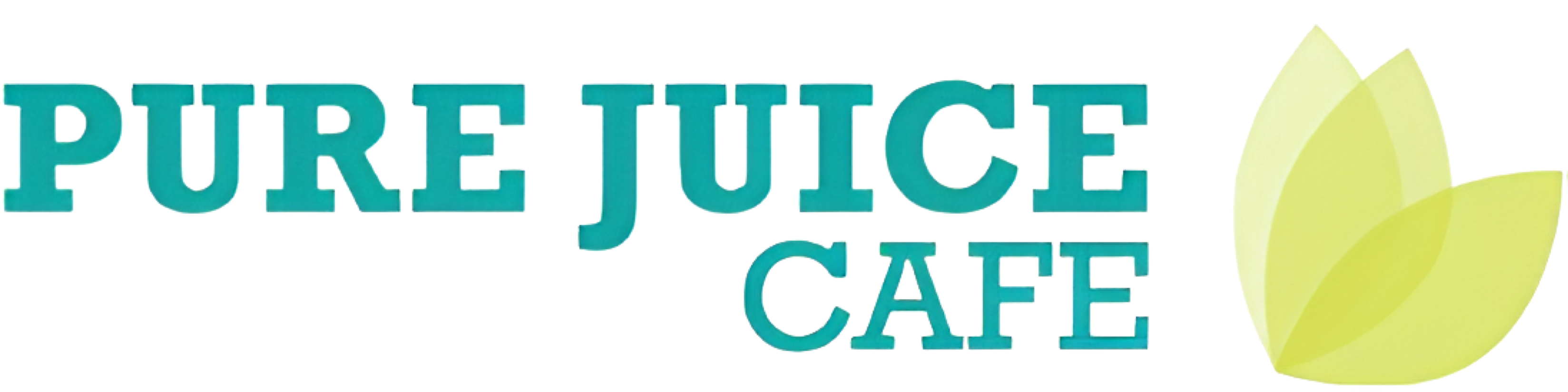 primary_logo (1)-Aug-12-2024-05-29-49-2415-PM