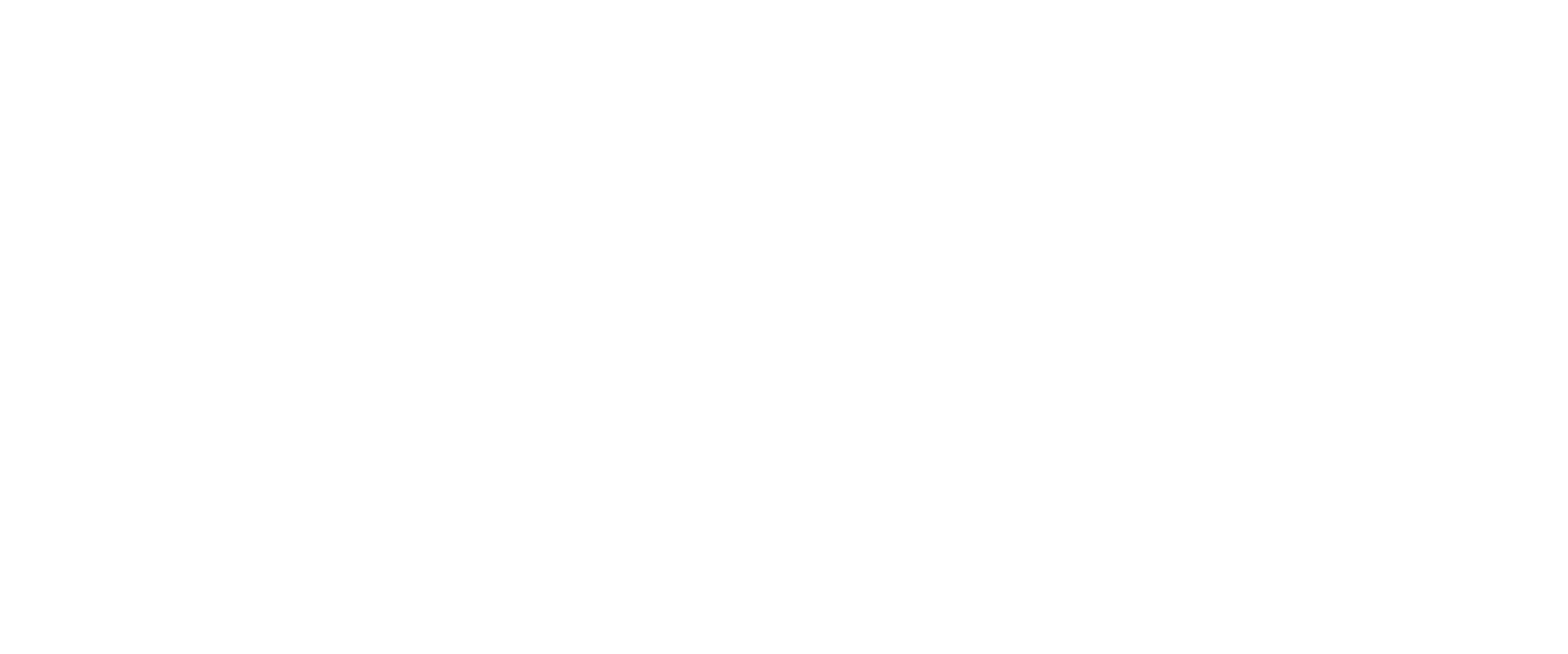 primary_logo (11)-2