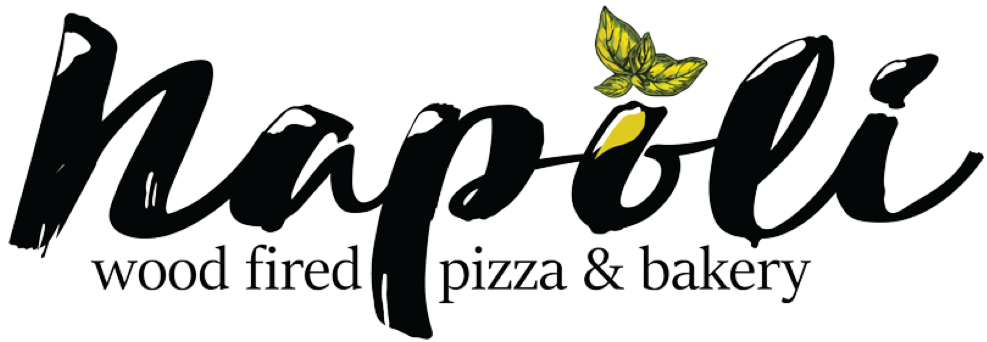 primary_logo-Aug-13-2024-06-04-02-1561-PM
