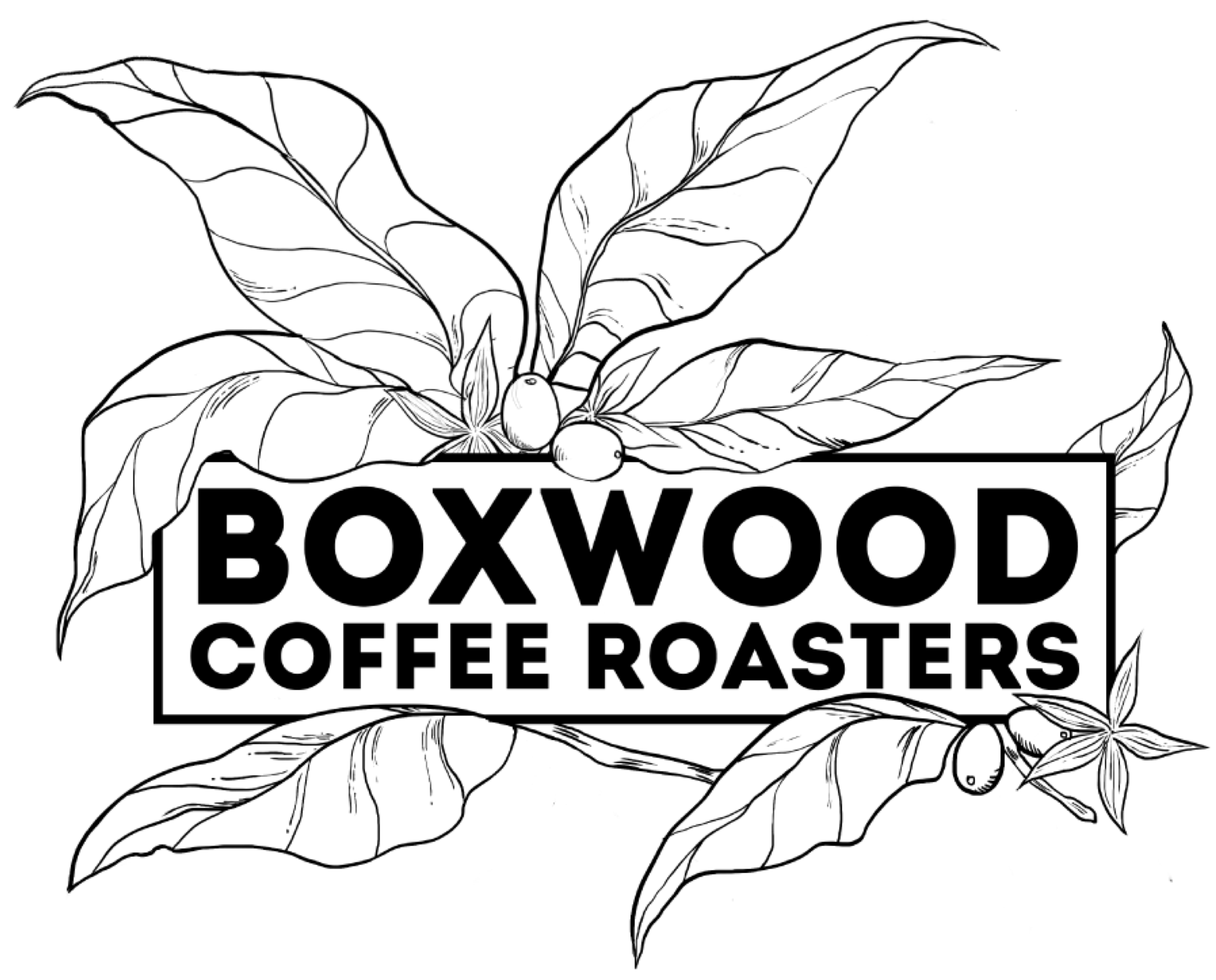 primary_logo-Jun-20-2024-07-37-44-2964-AM