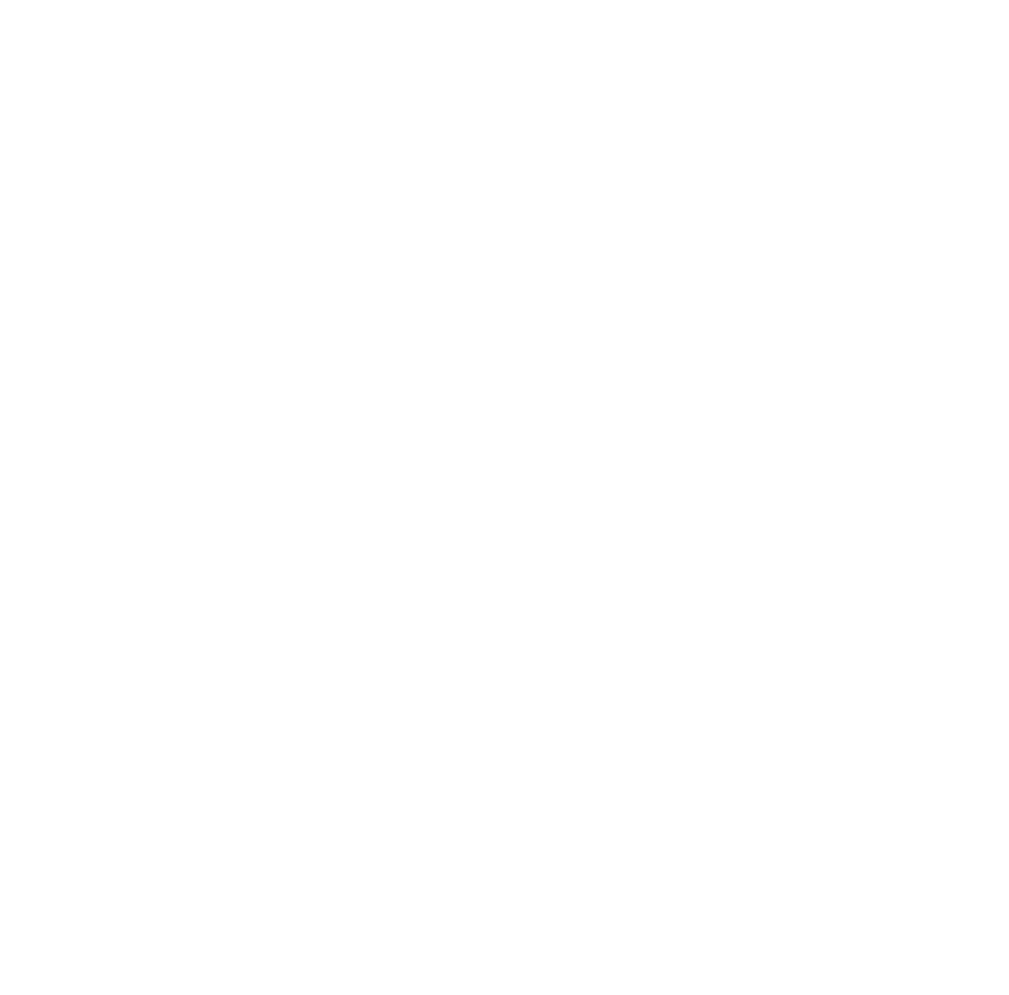 primary_logo-Nov-20-2024-08-28-49-9173-PM