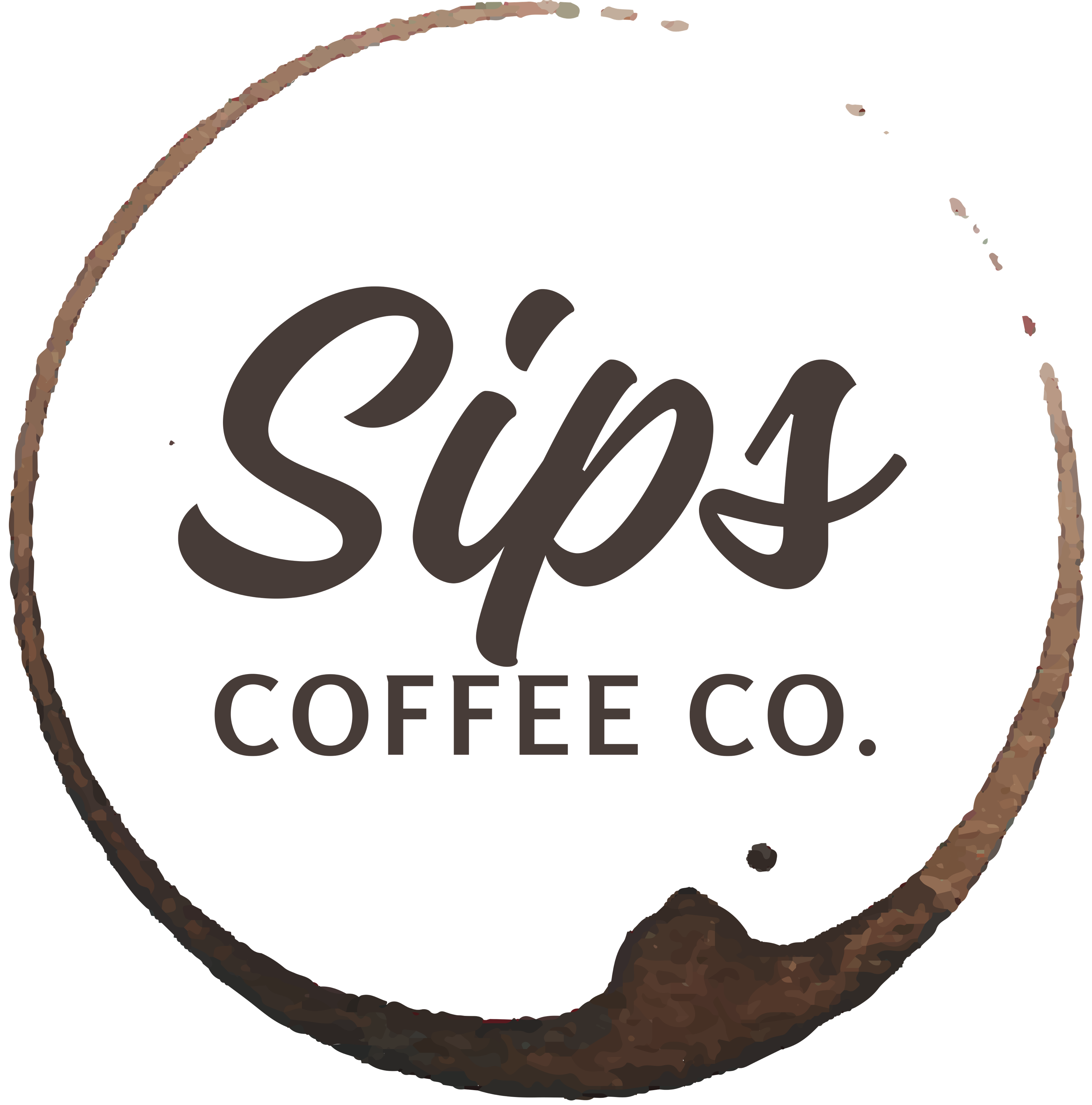 primary_logo-Sep-17-2024-06-34-34-5336-PM